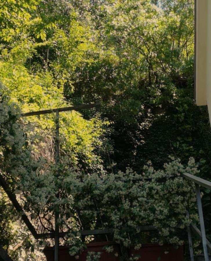 Ferienwohnung Kotor Crikvenica Exterior foto